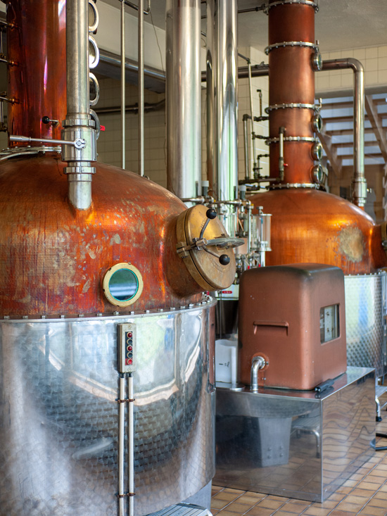 Distillerie Miclo